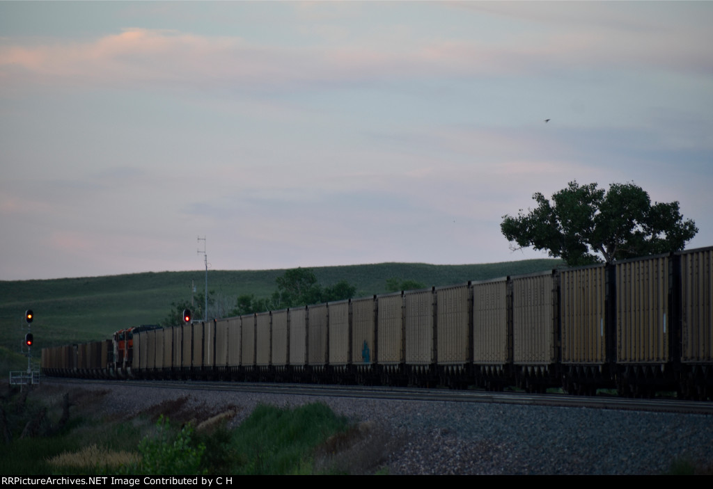 BNSF 9345/9155/9669